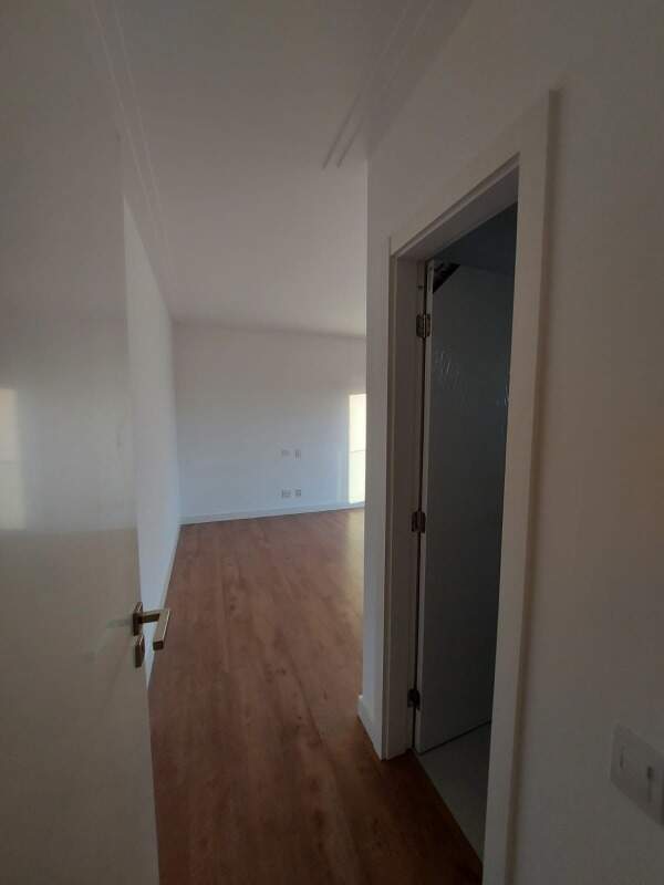 Apartamento para aluguel no Agronomica: 