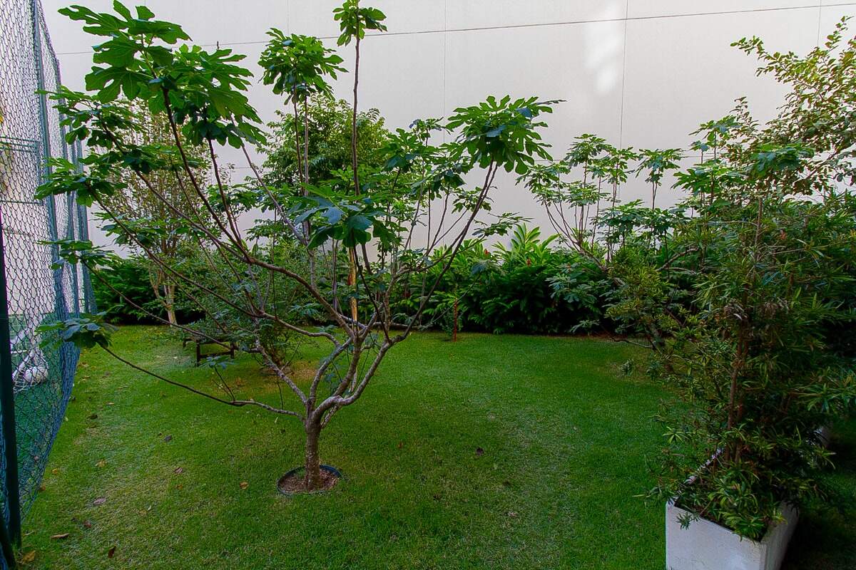 Apartamento para aluguel no Itacorubi: 