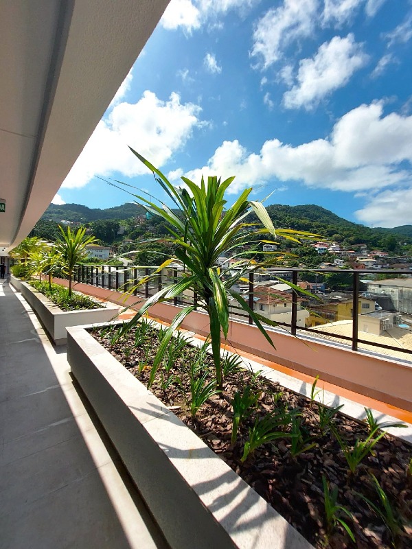 Apartamento para aluguel no Saco Grande: 