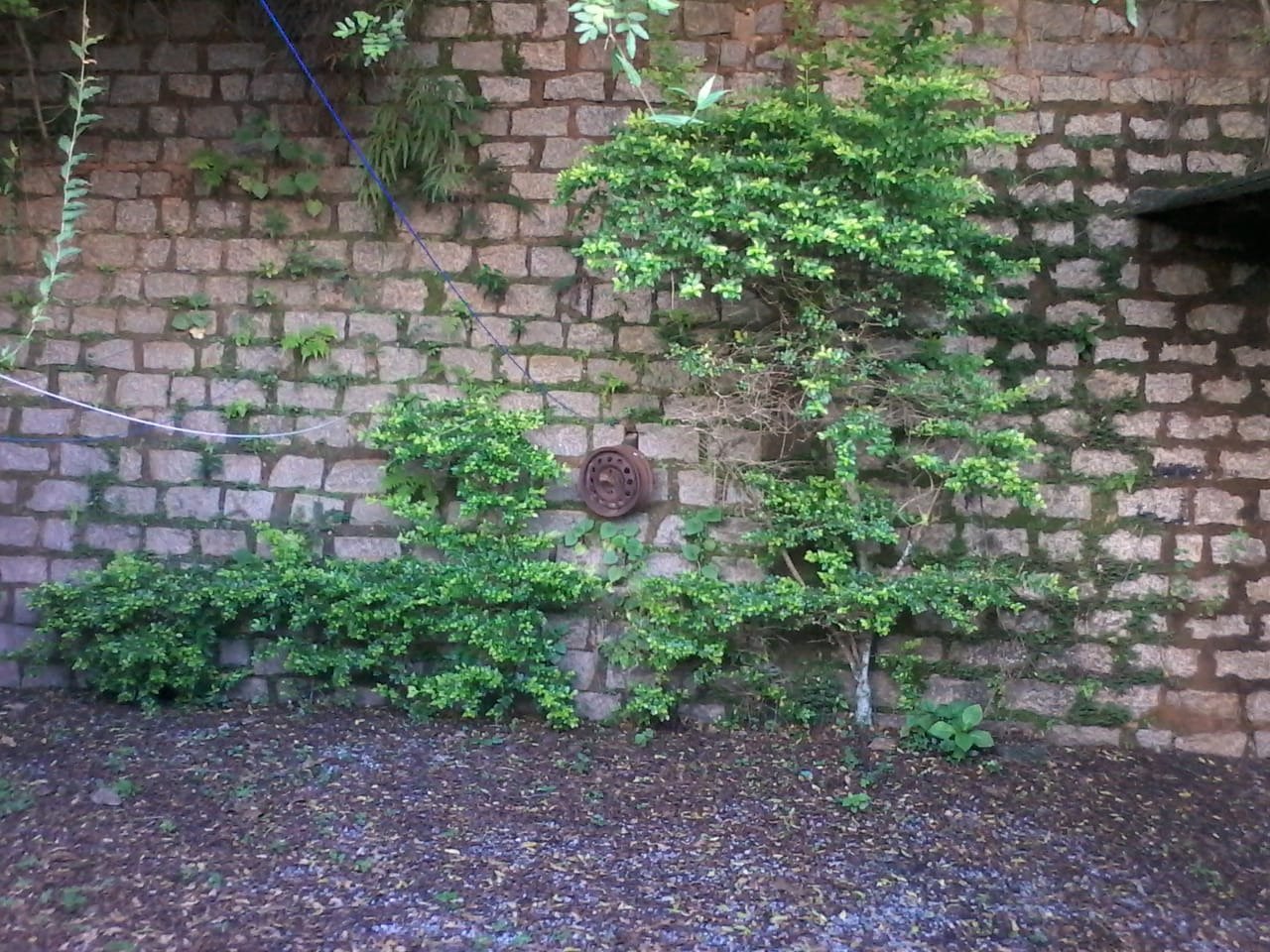 Casa à venda no Barreiros: 