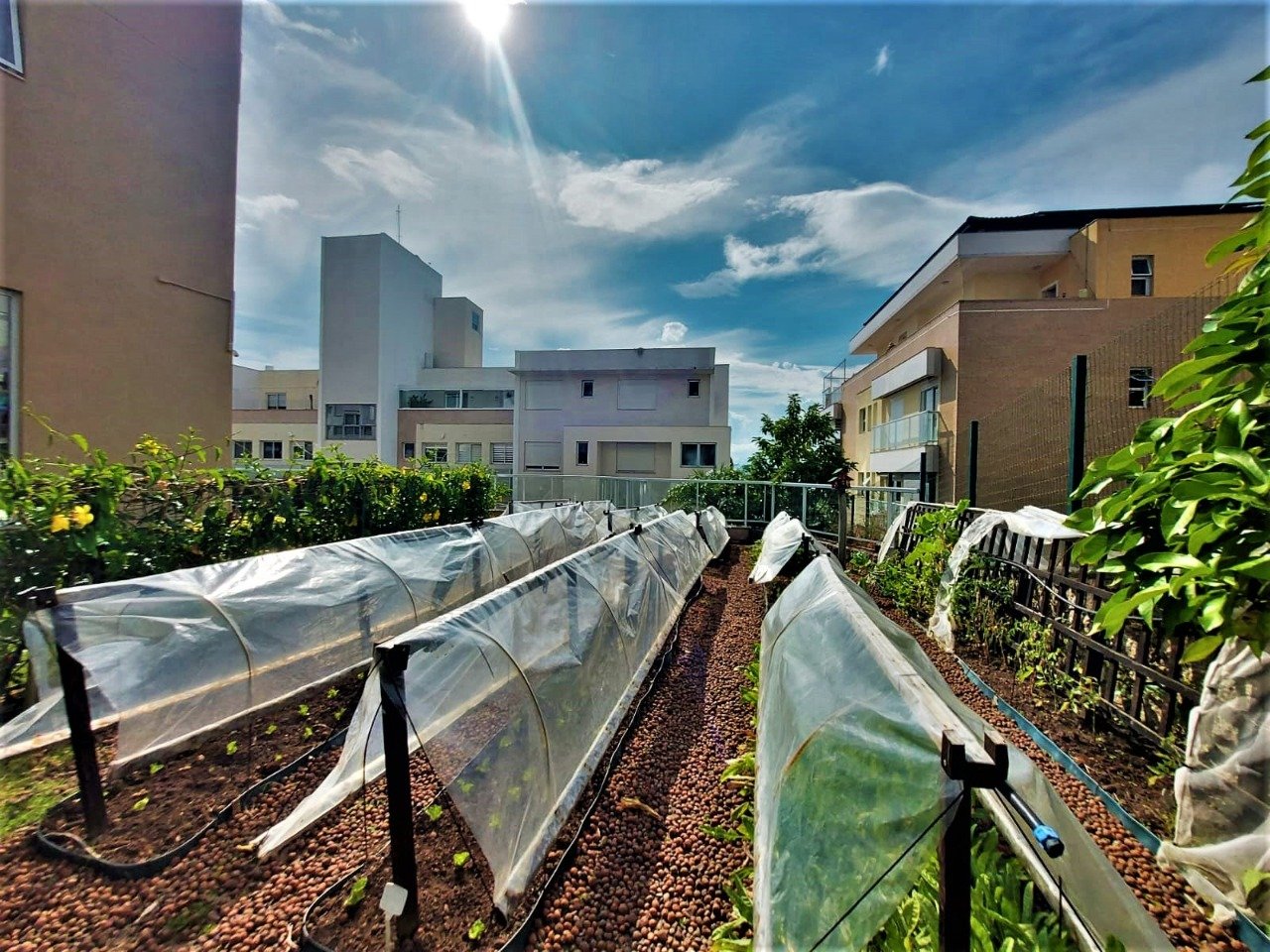 Apartamento à venda no Joao Paulo: 