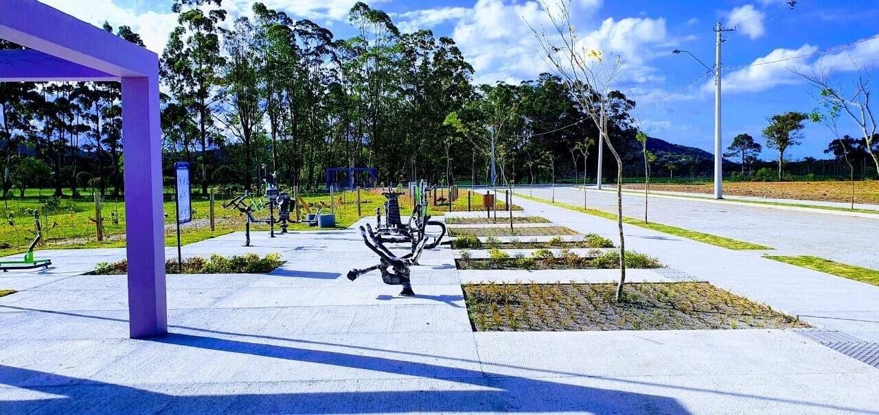 Terreno à venda no Canasvieiras: 