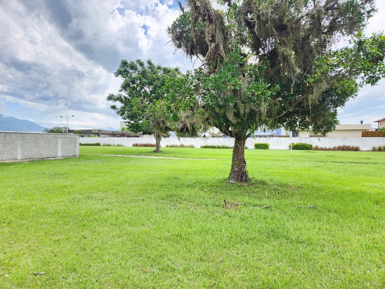 Terreno à venda no Campeche: 