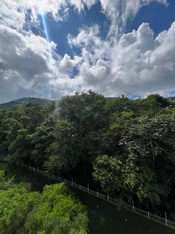 Apartamento para aluguel no Itacorubi: 