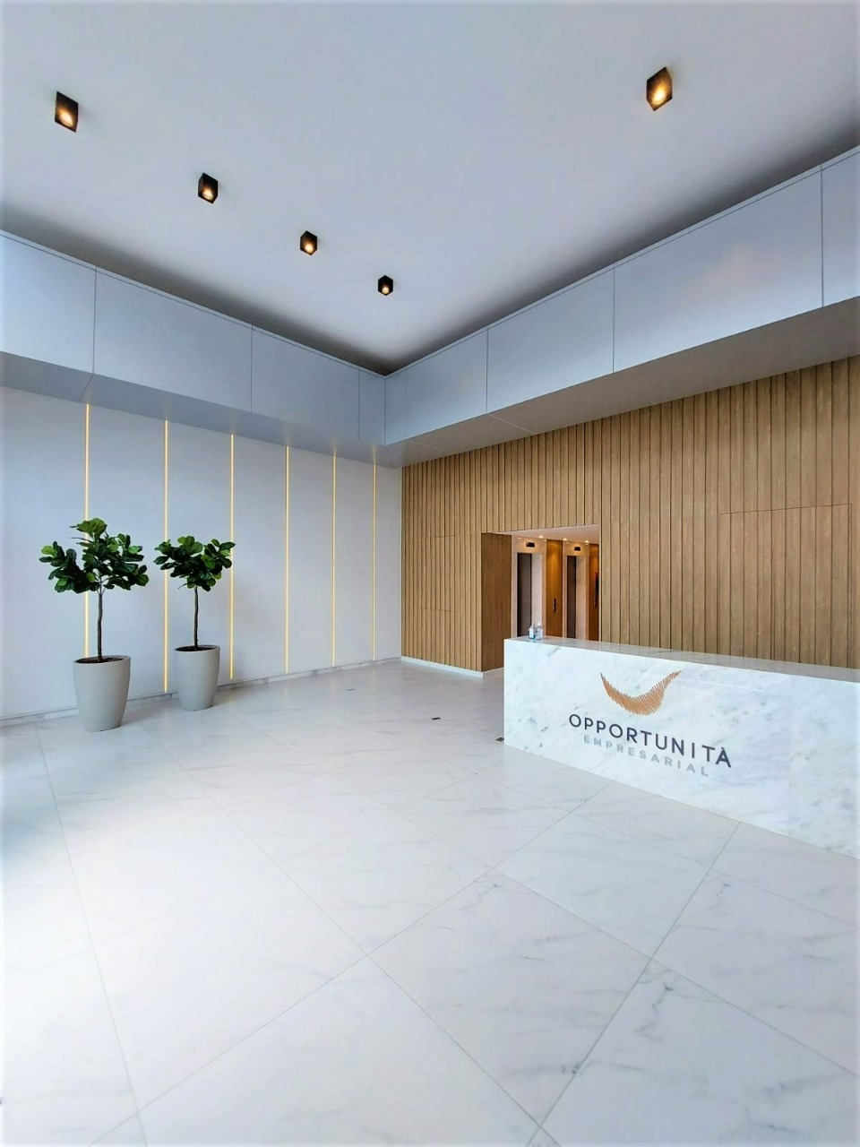 Salas/Conjuntos para aluguel no Saco Dos Limoes: 