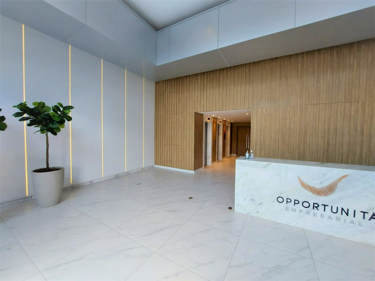 Salas/Conjuntos para aluguel no Saco Dos Limoes: 