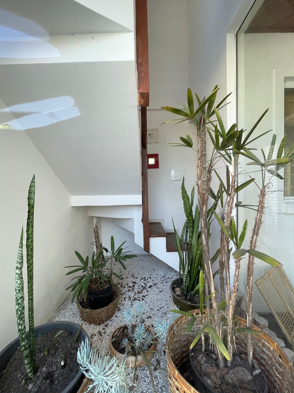 Casa em Condomínio à venda no Cachoeira Do Bom Jesus: 