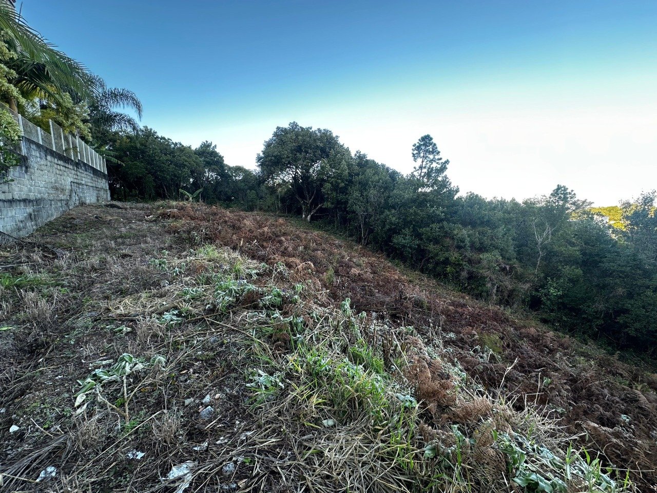 Terreno à venda no Joao Paulo: 
