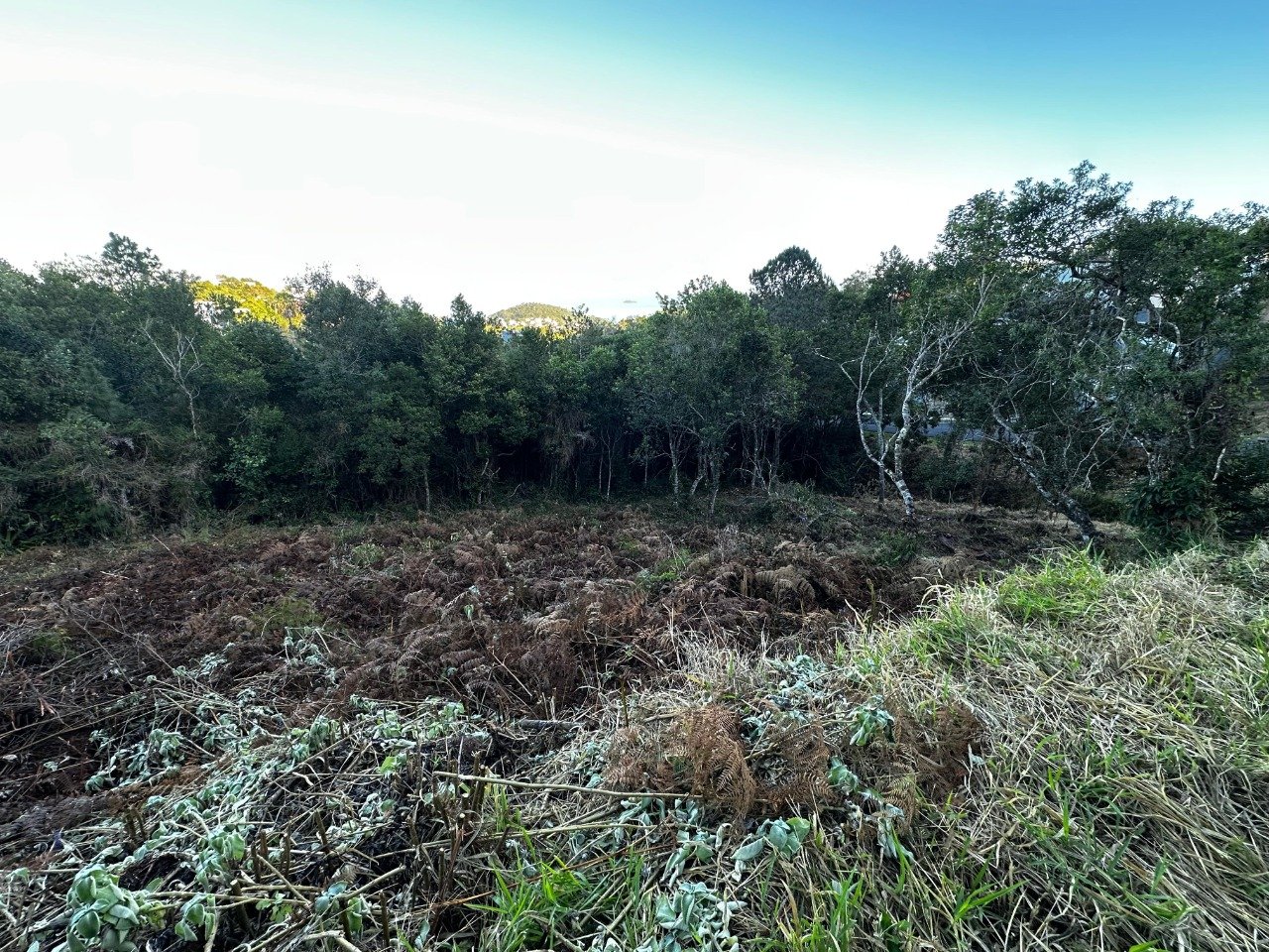 Terreno à venda no Joao Paulo: 