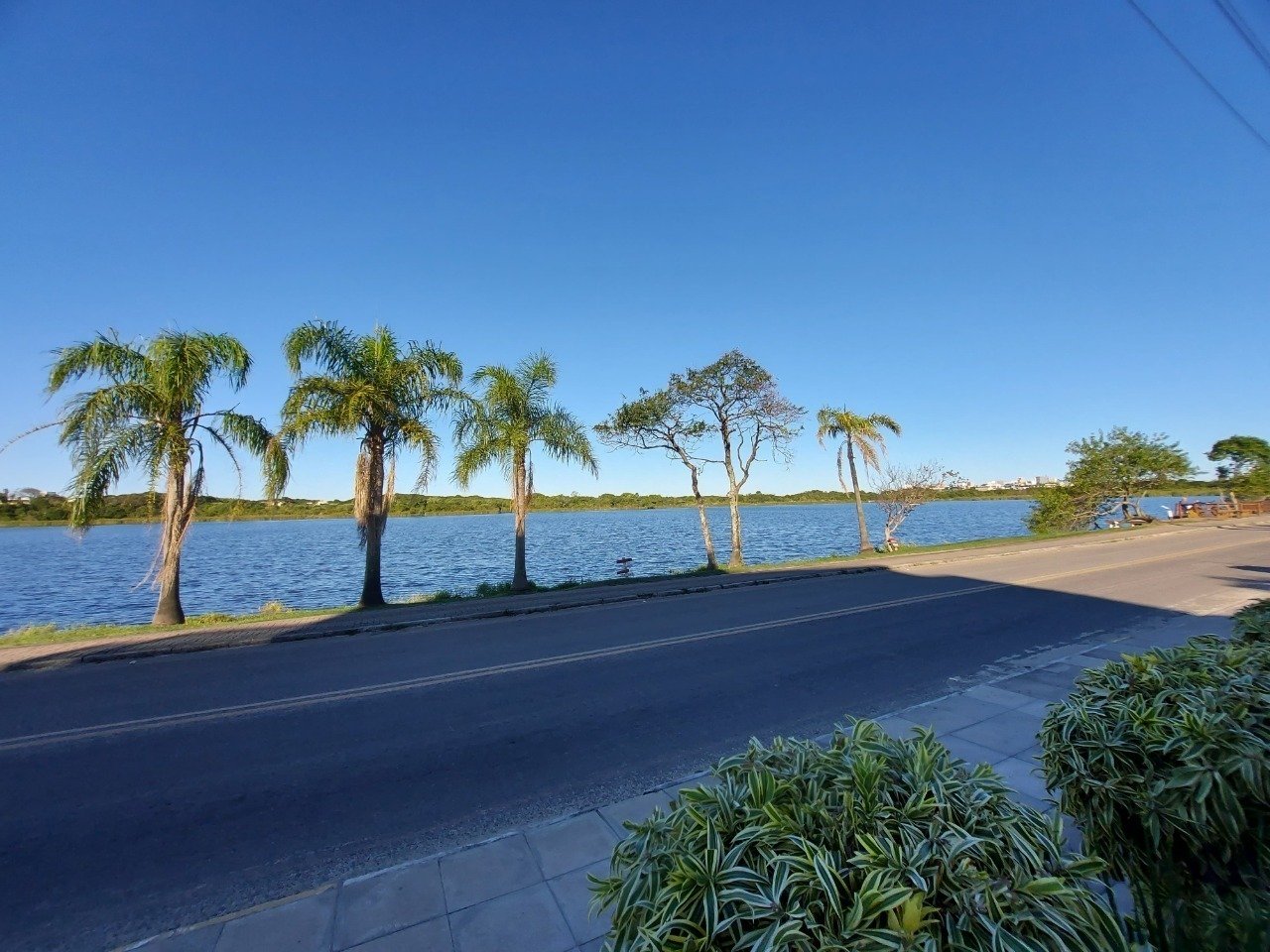 Cobertura à venda no Campeche: 
