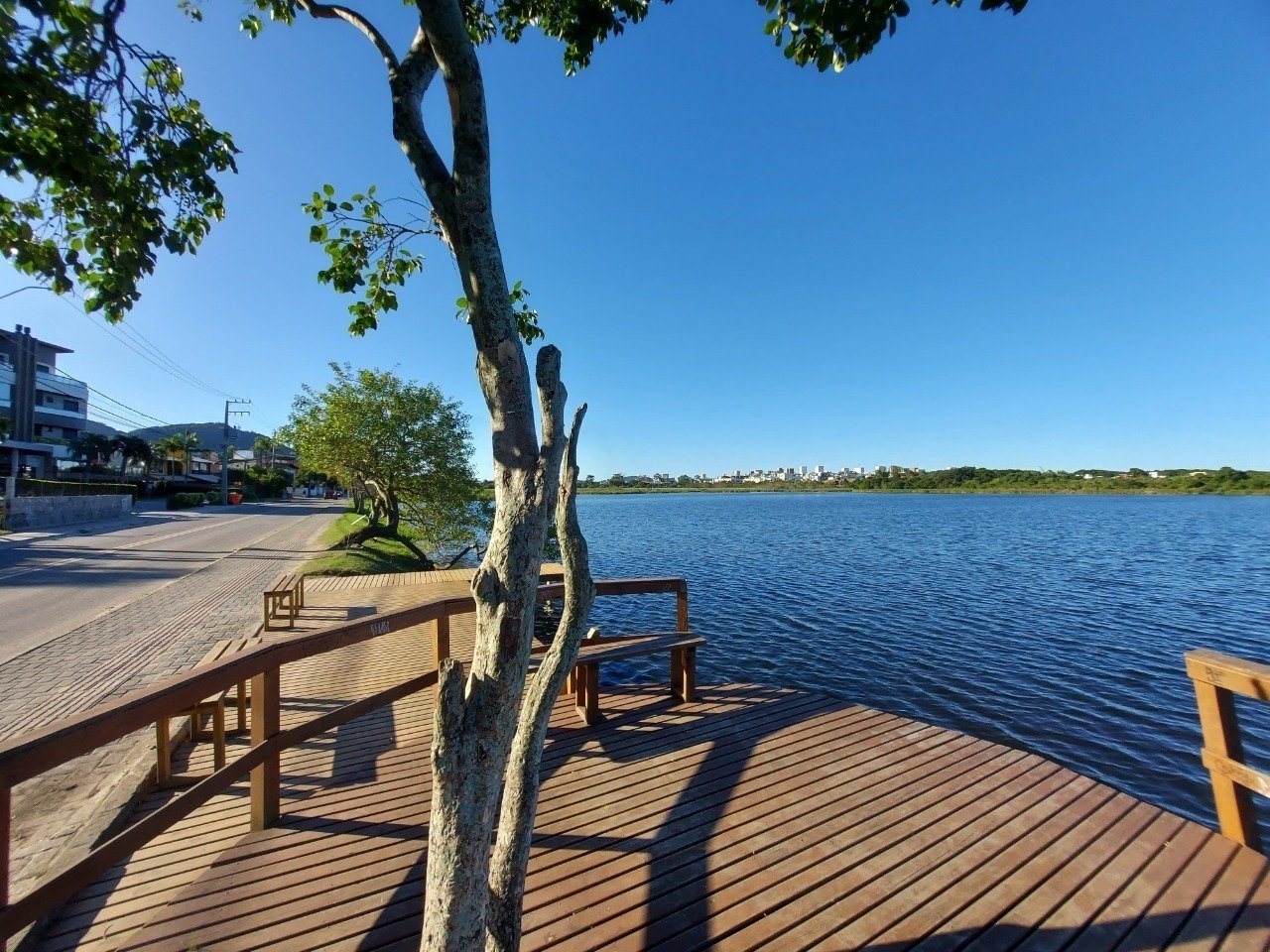 Cobertura à venda no Campeche: 