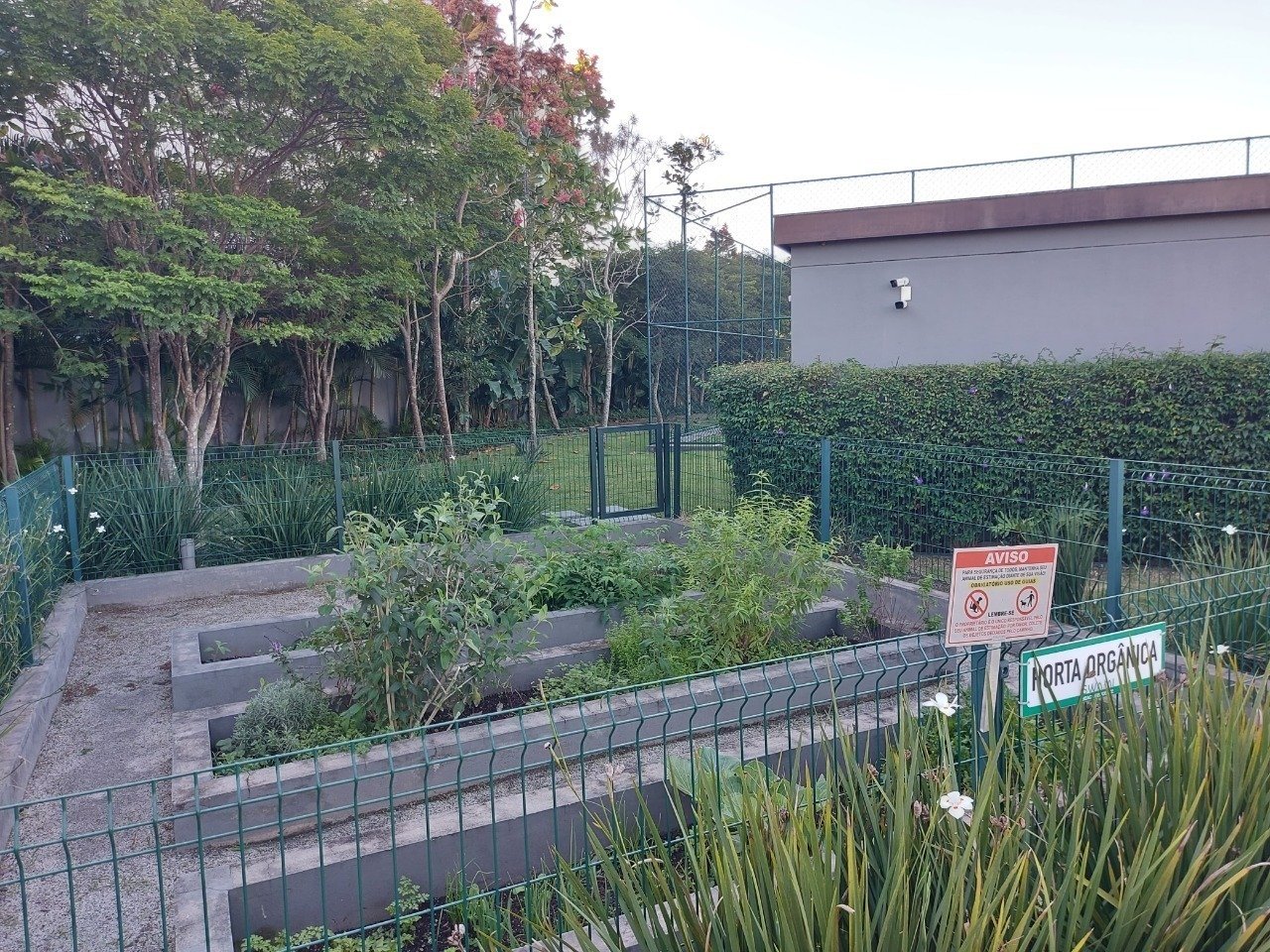 Cobertura à venda no Campeche: 