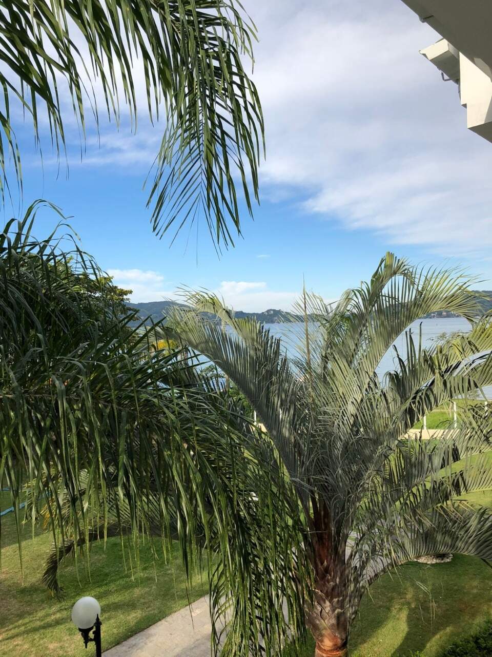 Casa à venda no Lagoa Da Conceicao: 