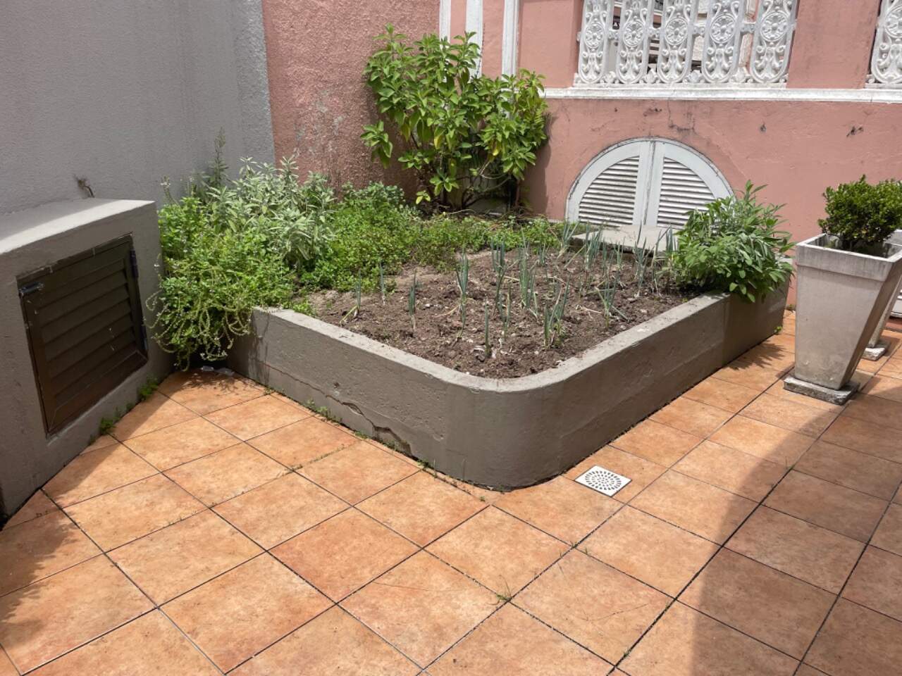 Apartamento à venda no Agronomica: 