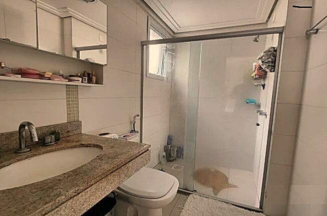 Apartamento à venda no Agronomica: 