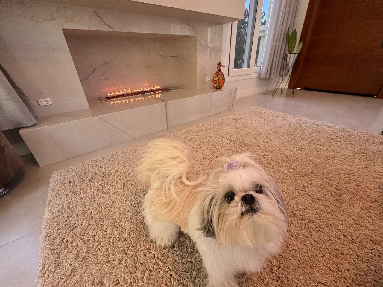 Casa em Condomínio à venda no Cacupe:
