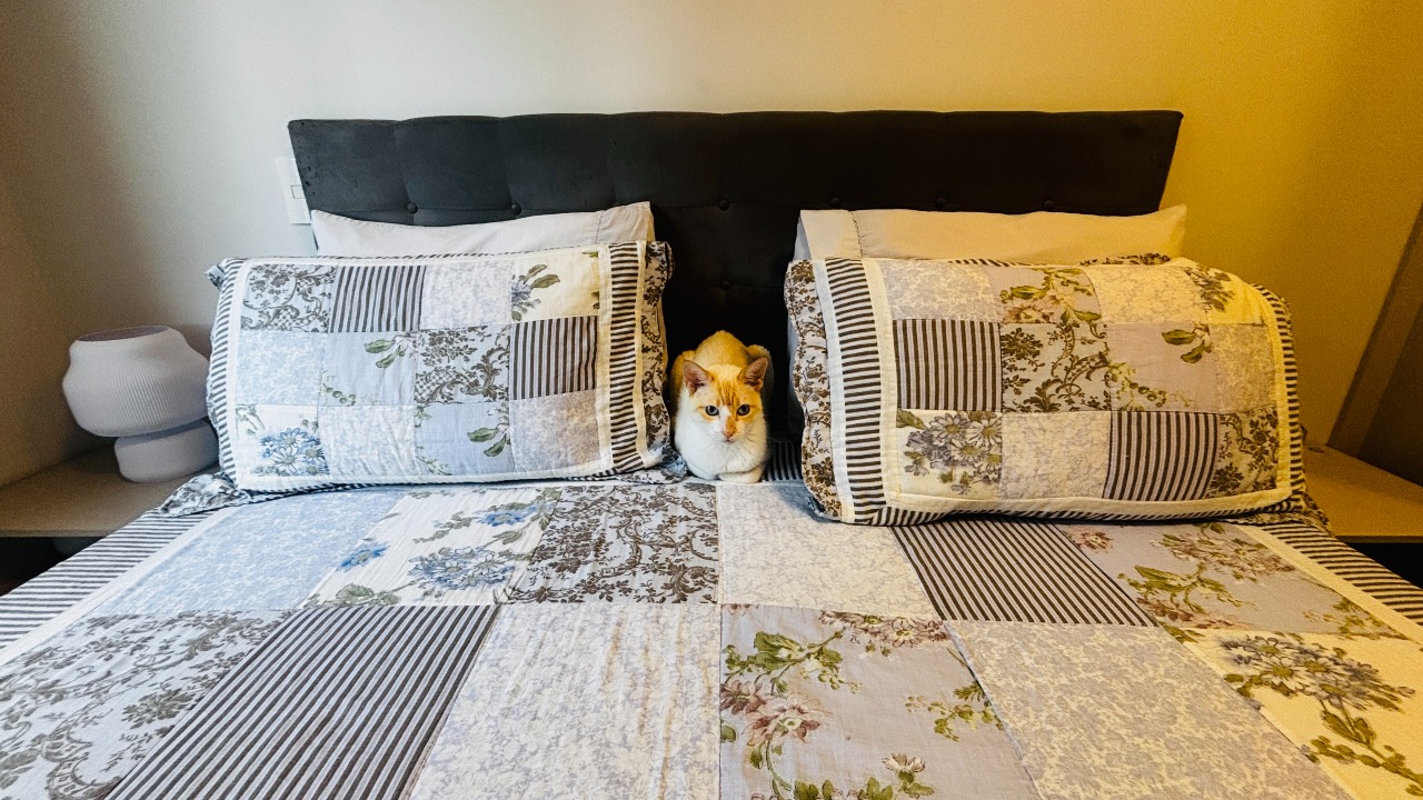 Apartamento à venda no Roçado: 