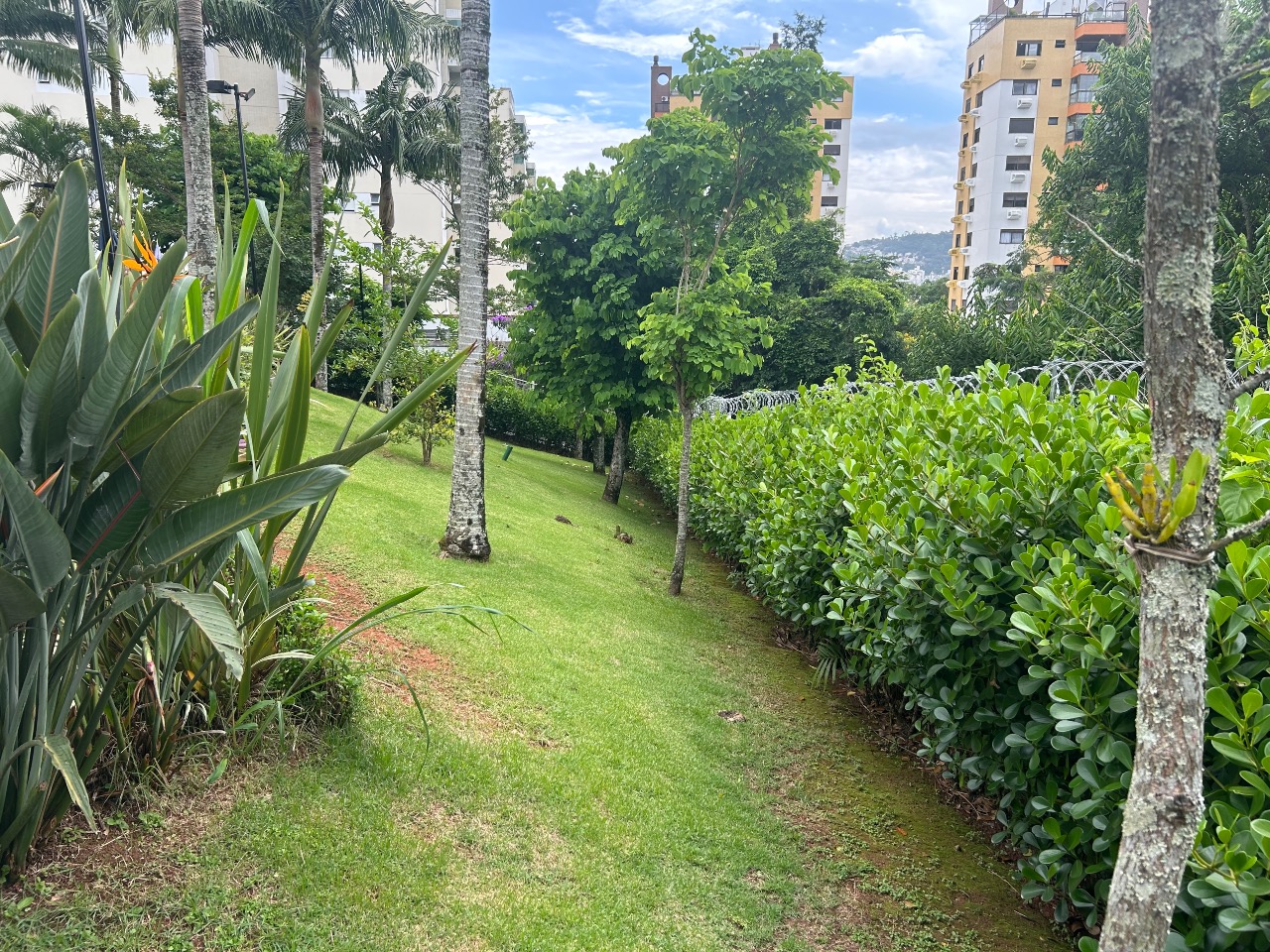 Apartamento à venda no Itacorubi: 