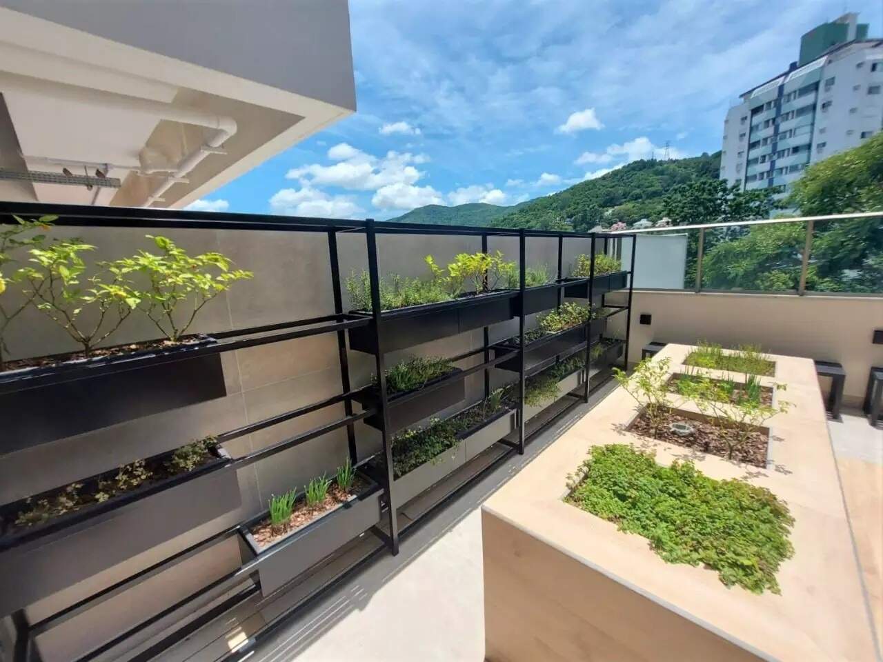 Apartamento para aluguel no Corrego Grande: 