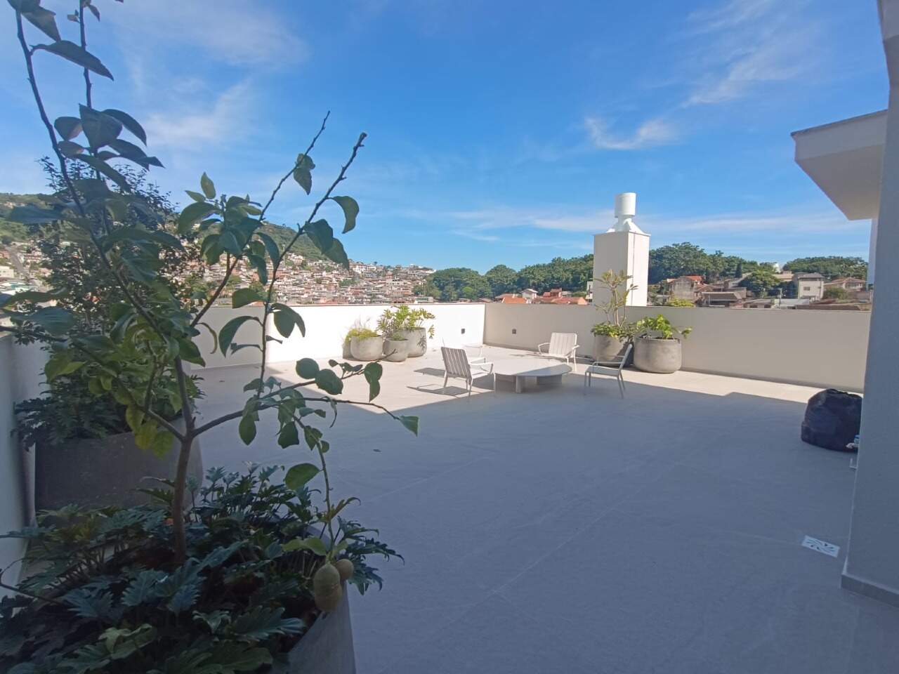 Apartamento à venda no Agronomica: 