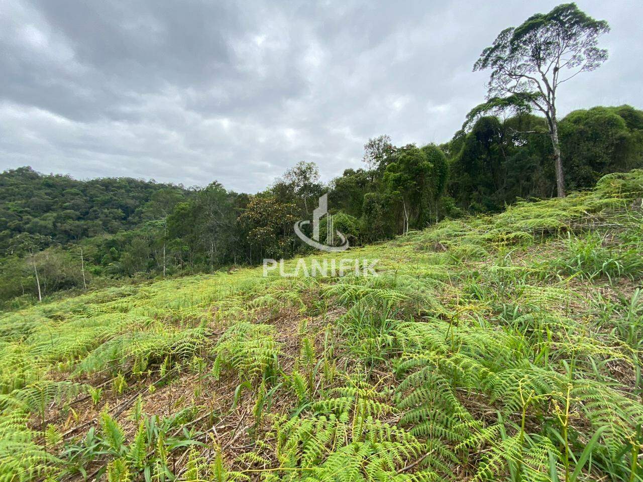 Lote/Terreno de 336m² no bairro Imigrantes, em Guabiruba | Eu Corretor