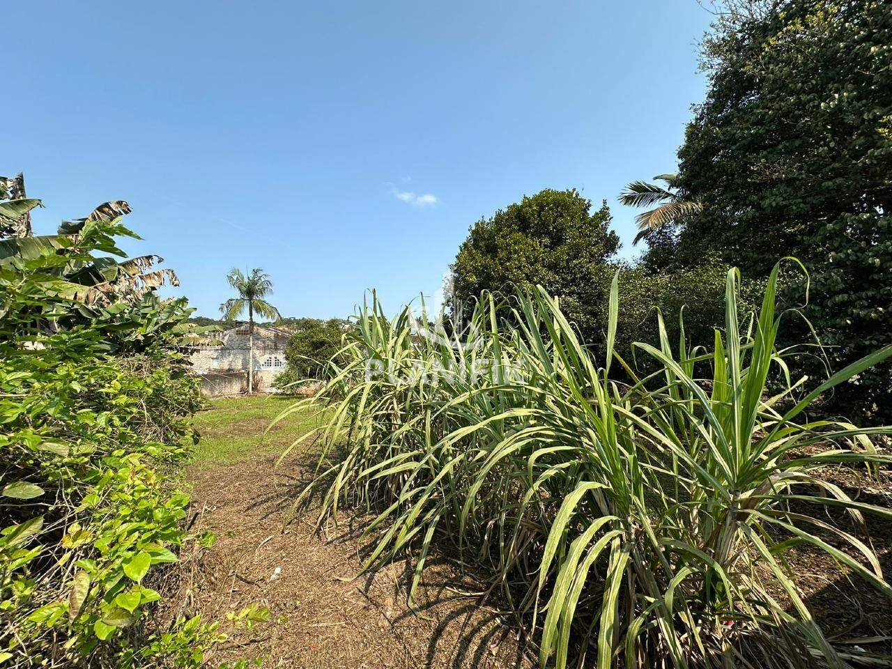 Lote/Terreno de no bairro Santa Terezinha, em Brusque | Eu Corretor