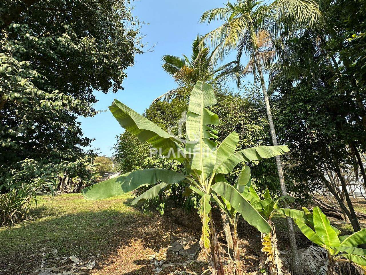 Lote/Terreno de no bairro Santa Terezinha, em Brusque | Eu Corretor