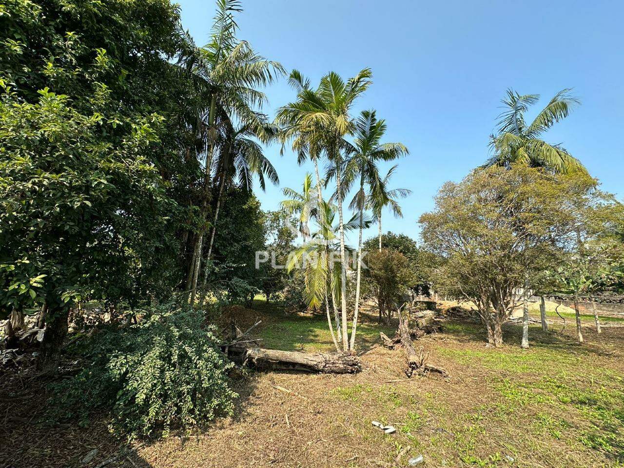 Lote/Terreno de no bairro Santa Terezinha, em Brusque | Eu Corretor