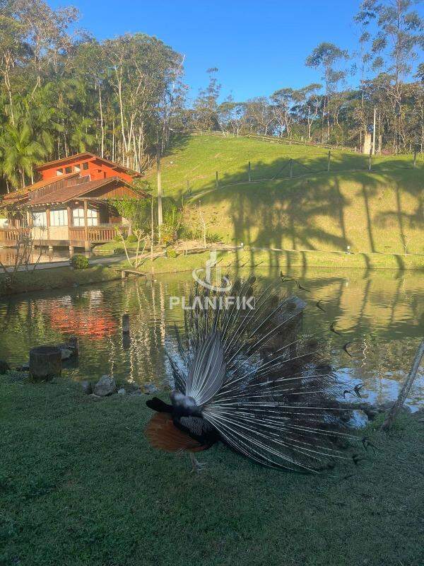 Chácara de 2 quartos, 10779m² no bairro LORENA, em Guabiruba | Eu Corretor