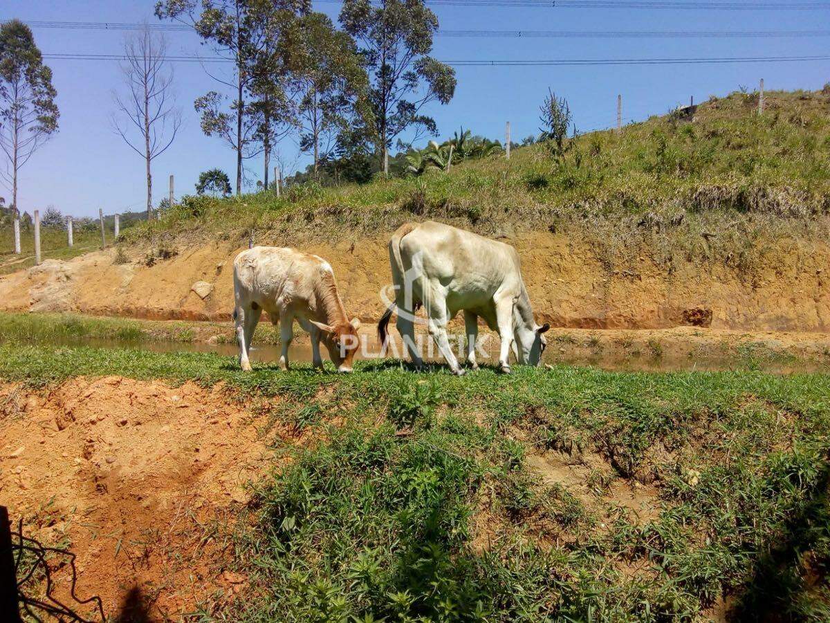 Chácara de 2250m² no bairro Moura, em Canelinha | Eu Corretor