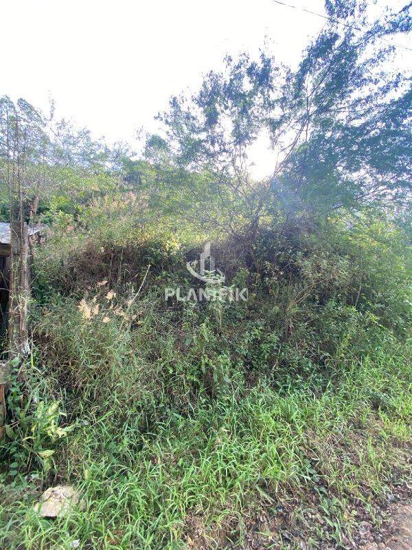 Lote/Terreno de no bairro Guabiruba Sul, em Guabiruba | Eu Corretor