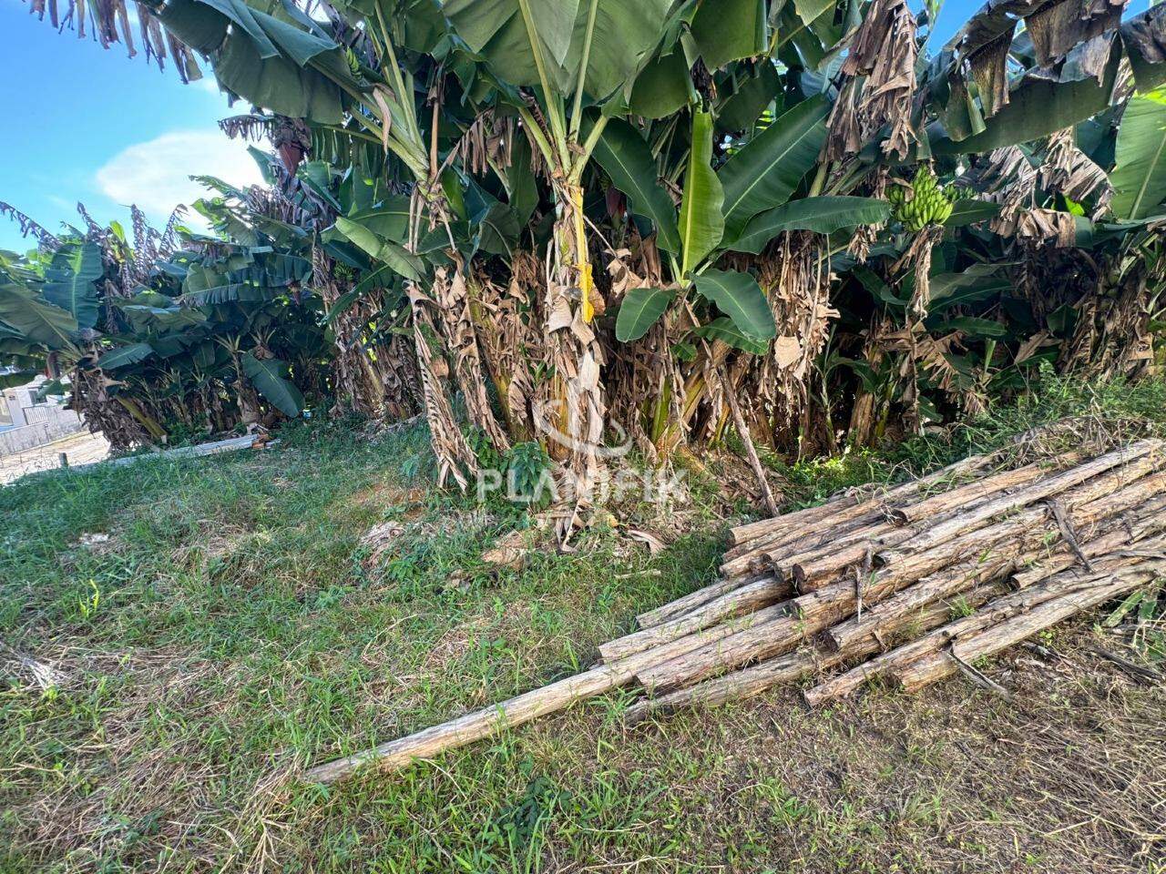 Lote/Terreno de 490m² no bairro Tomaz Coelho, em Brusque | Eu Corretor
