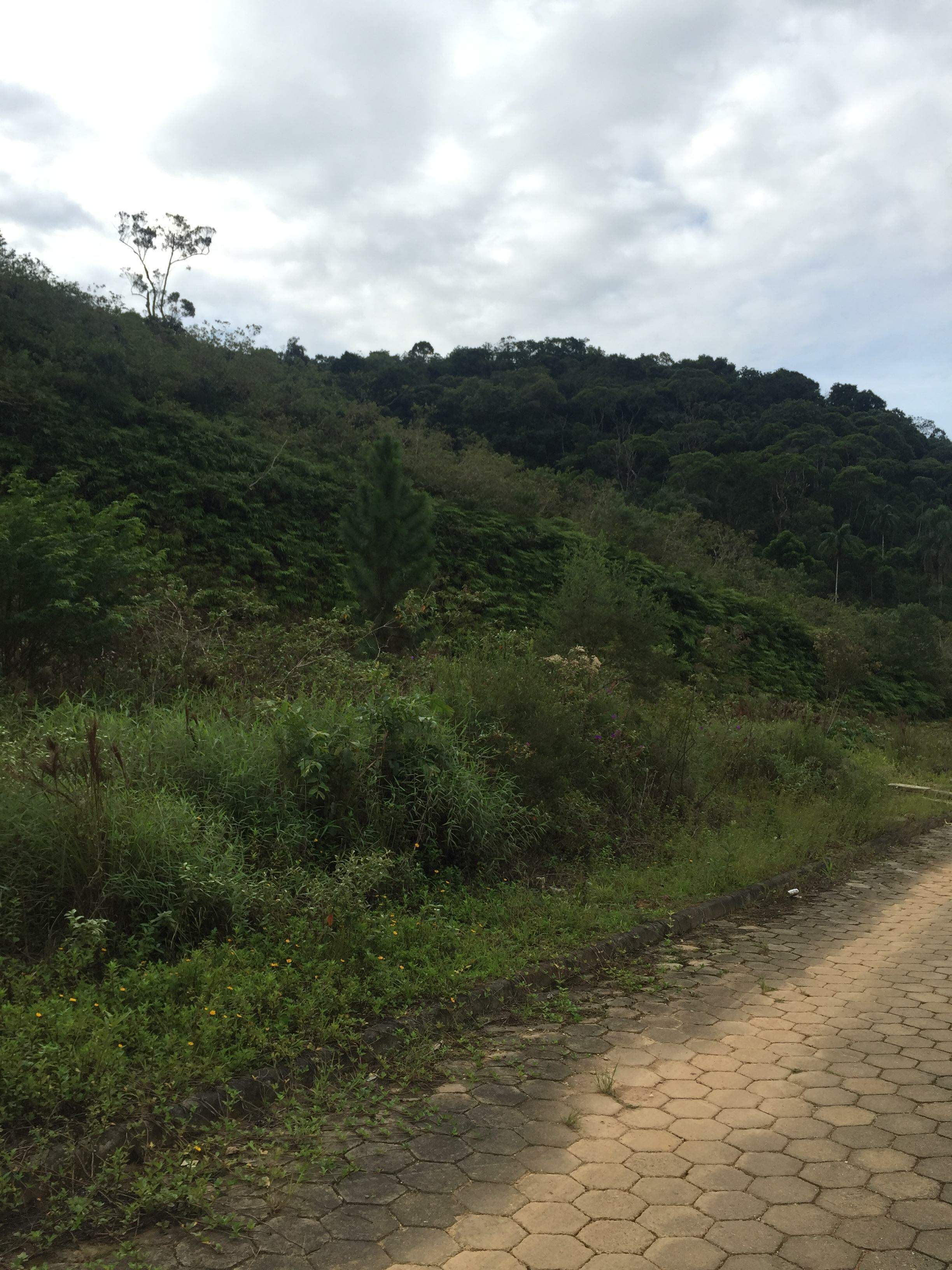 Lote/Terreno de no bairro São Pedro, em Brusque | Eu Corretor