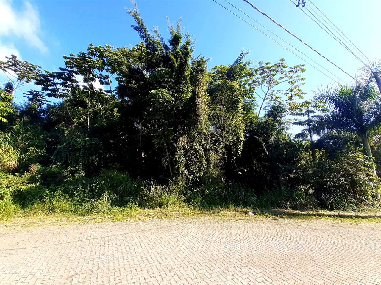 Lote/Terreno de 427m² no bairro Não Informado, em Guabiruba | Eu Corretor