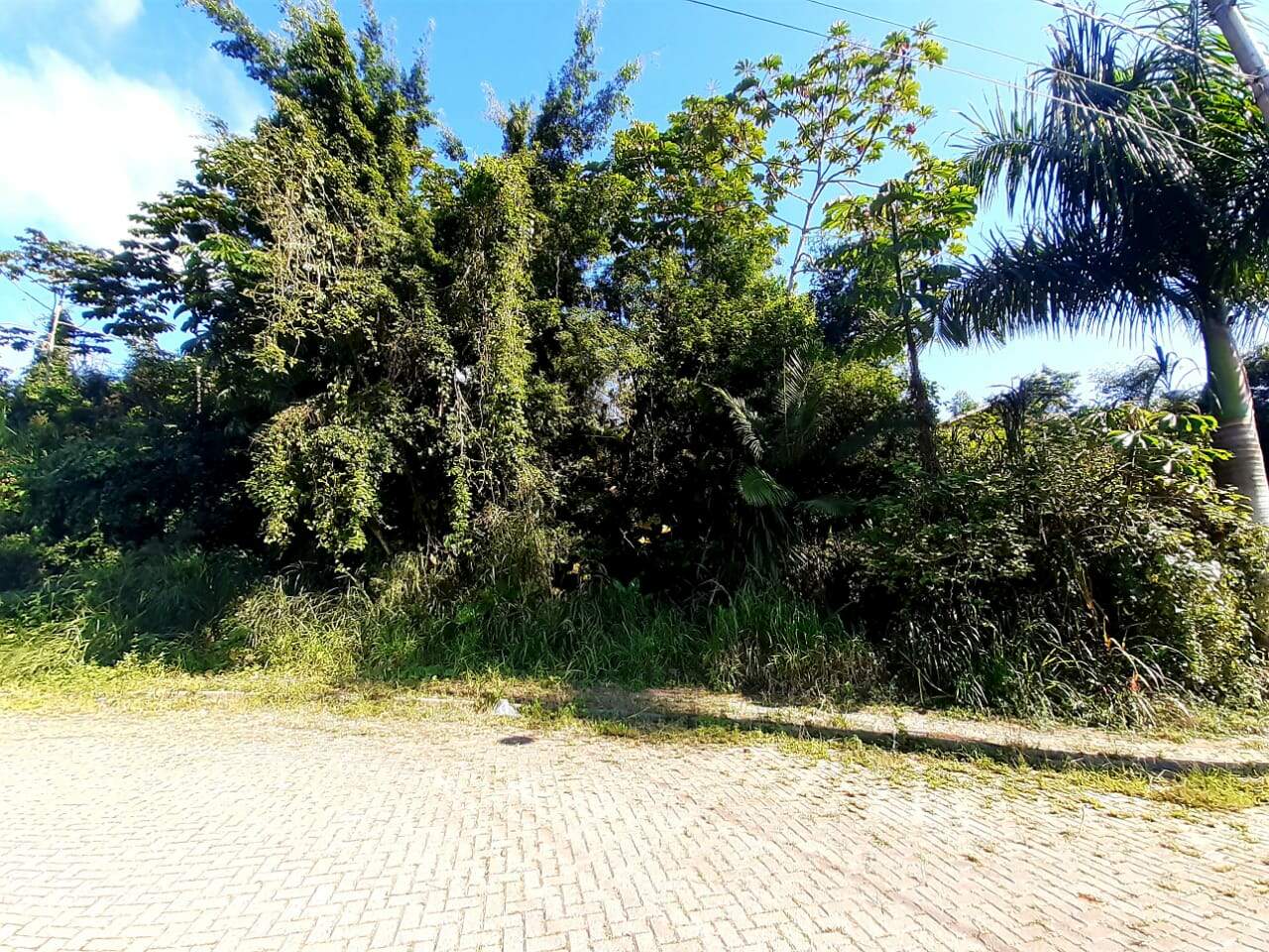 Lote/Terreno de 427m² no bairro Não Informado, em Guabiruba | Eu Corretor