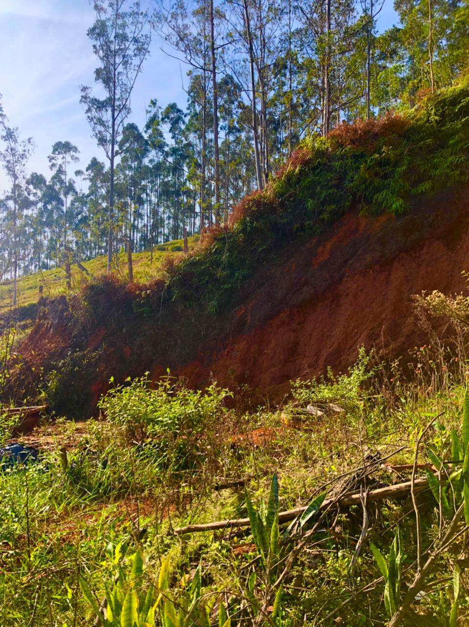 Lote/Terreno de 375m² no bairro Limoeiro, em Itajaí | Eu Corretor