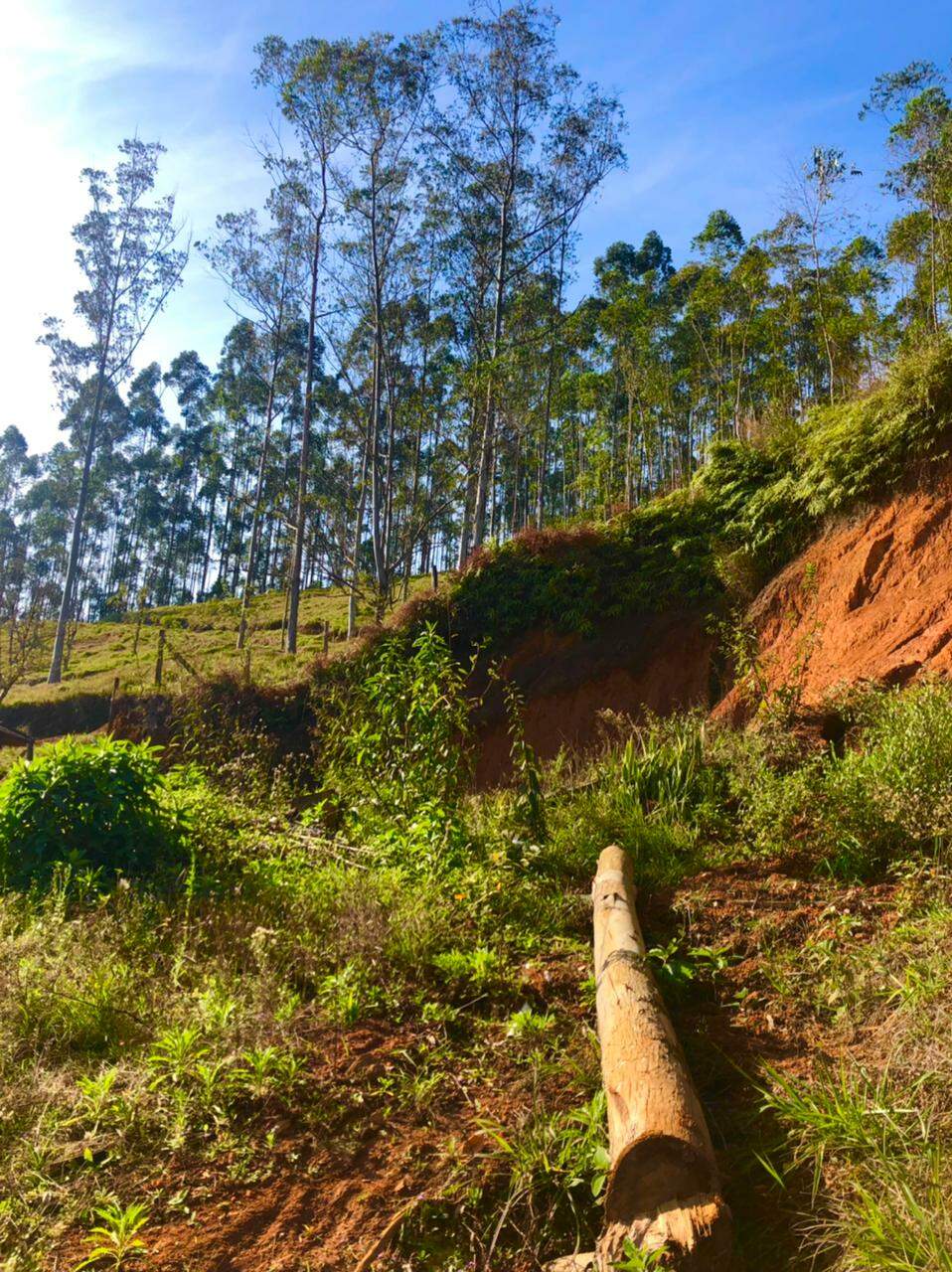 Lote/Terreno de 375m² no bairro Limoeiro, em Itajaí | Eu Corretor