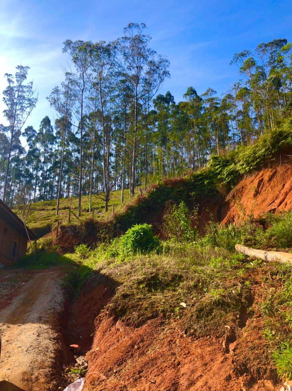 Lote/Terreno de 375m² no bairro Limoeiro, em Itajaí | Eu Corretor