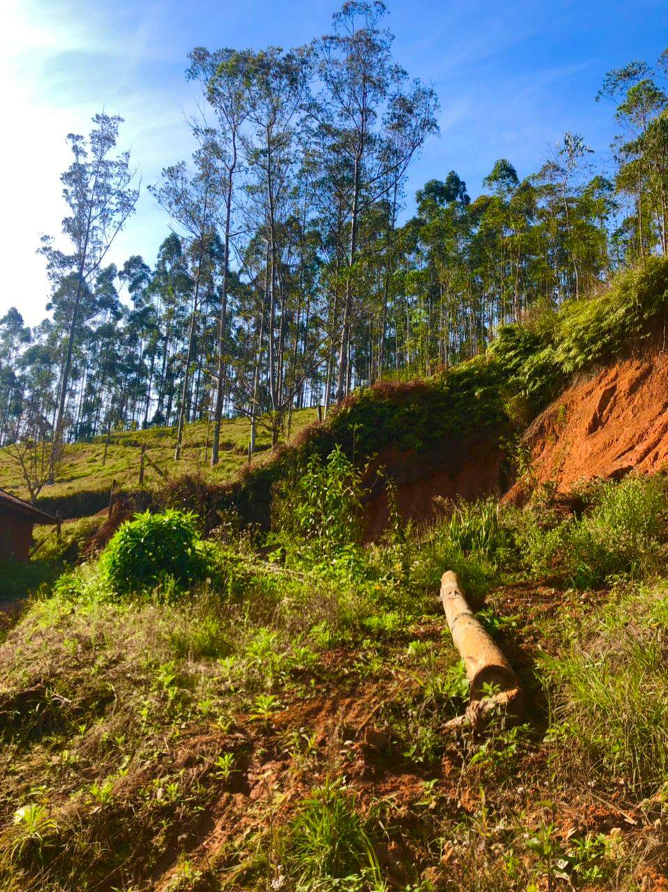 Lote/Terreno de 375m² no bairro Limoeiro, em Itajaí | Eu Corretor