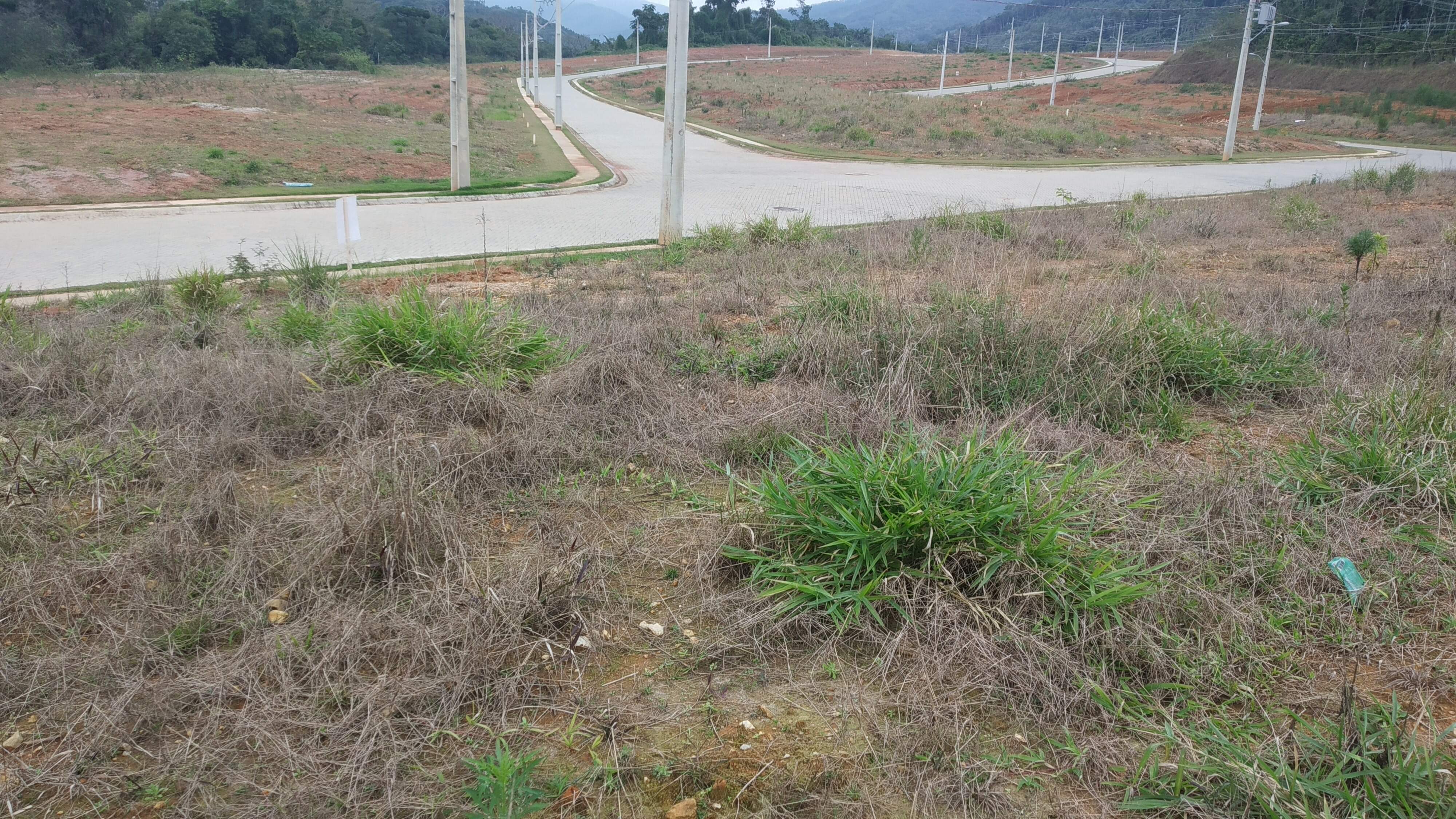 Lote/Terreno de 260m² no bairro Cedro Alto, em Brusque | Eu Corretor