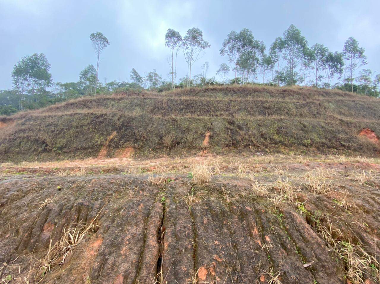 Lote/Terreno de no bairro Aimore, em Guabiruba | Eu Corretor