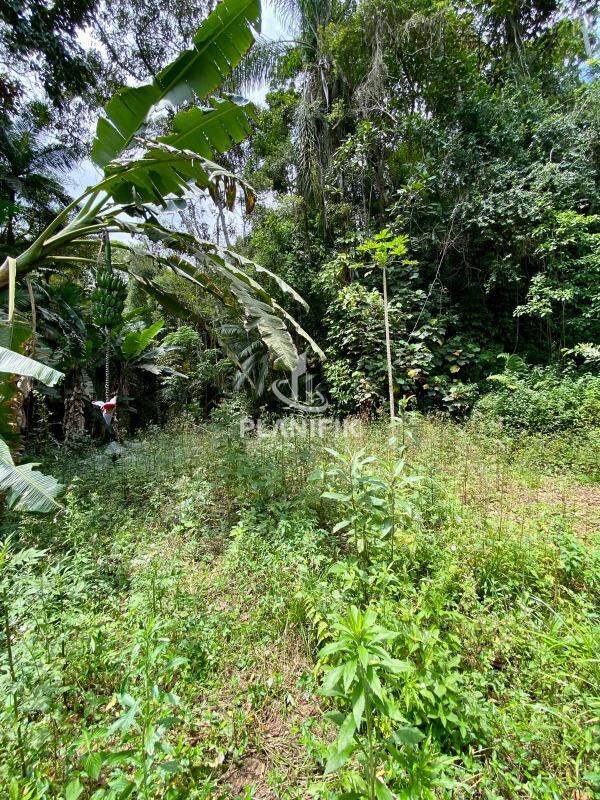 Lote/Terreno de no bairro Poço Fundo, em Brusque | Eu Corretor