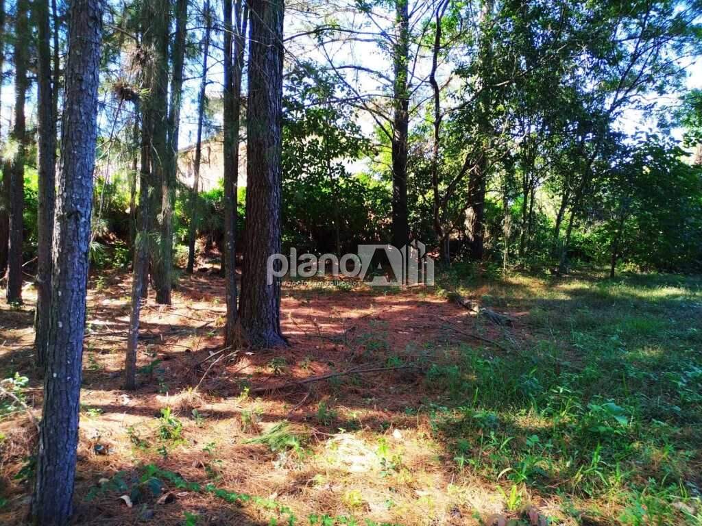 Terreno Comercial para aluguel, com 2.000m², - Santo Antônio - Gravataí / RS por R$ 3.000,00: 