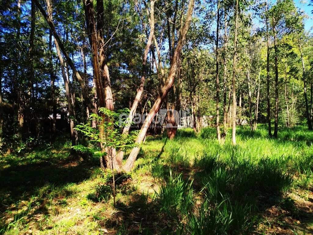 Terreno Comercial para aluguel, com 2.000m², - Santo Antônio - Gravataí / RS por R$ 3.000,00: 