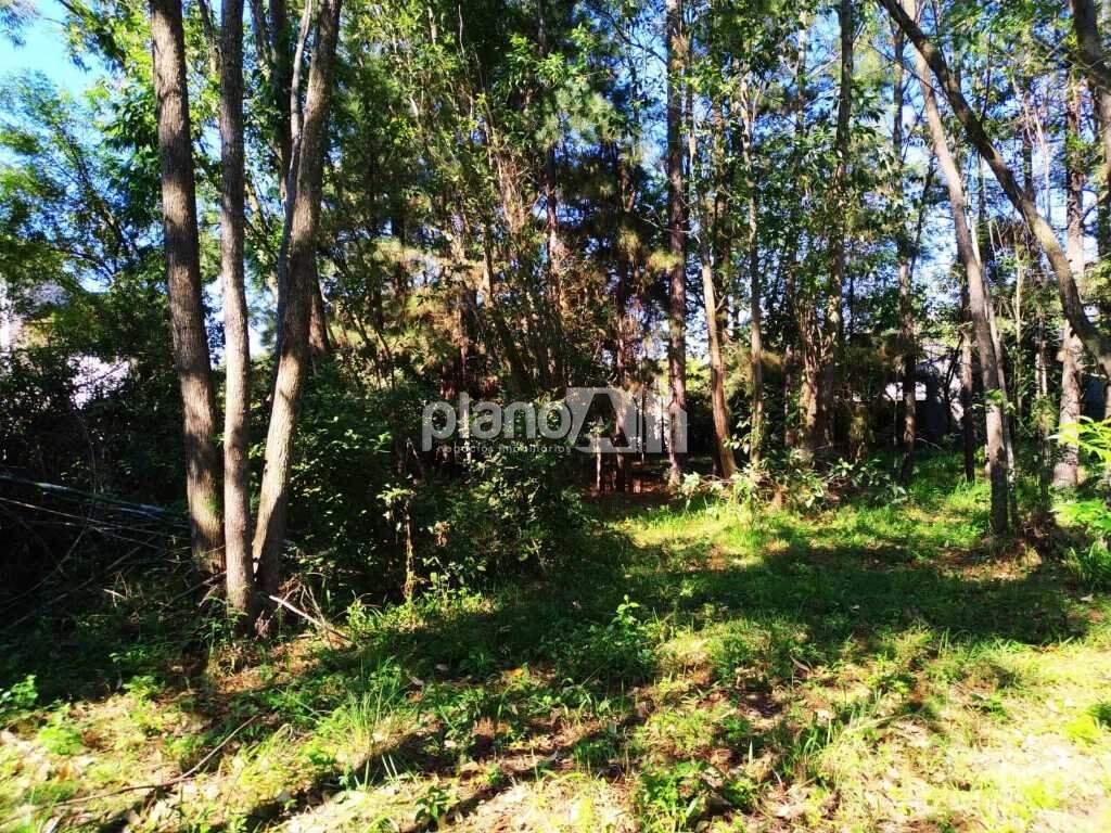Terreno Comercial para aluguel, com 2.000m², - Santo Antônio - Gravataí / RS por R$ 3.000,00: 