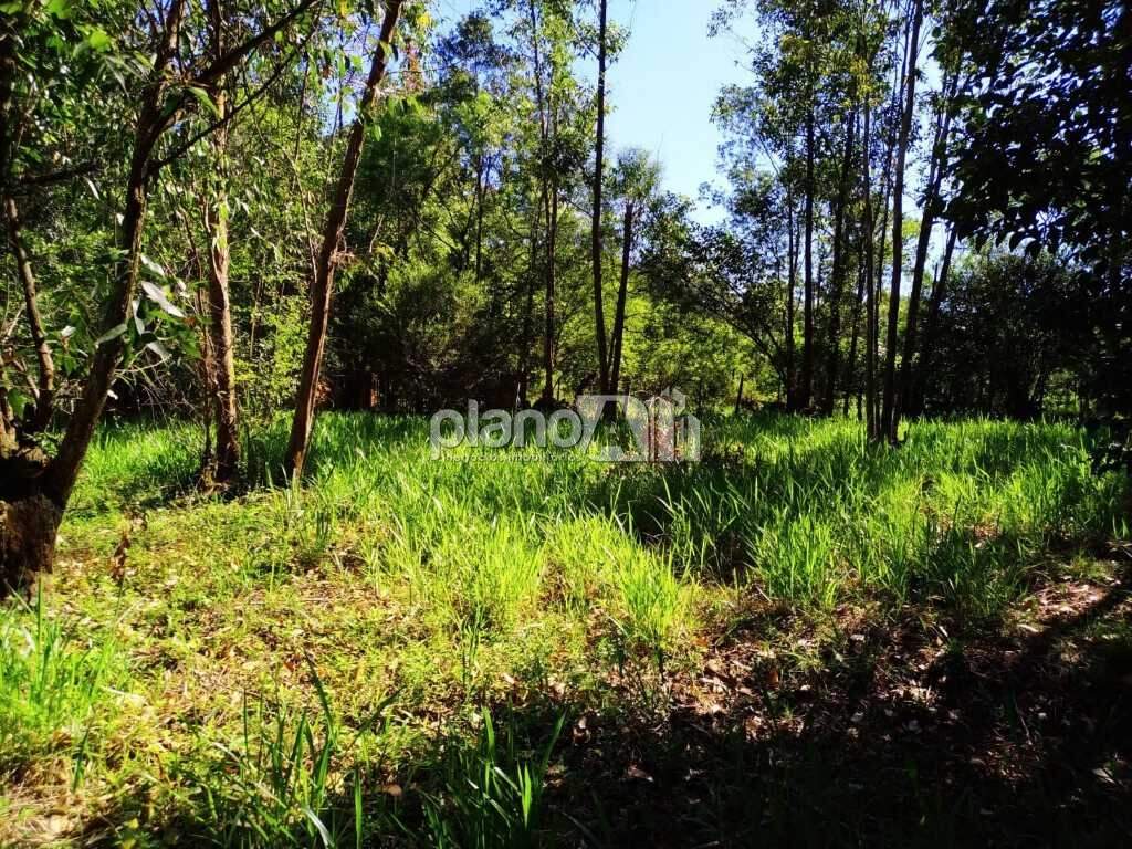 Terreno Comercial para aluguel, com 2.000m², - Santo Antônio - Gravataí / RS por R$ 3.000,00: 