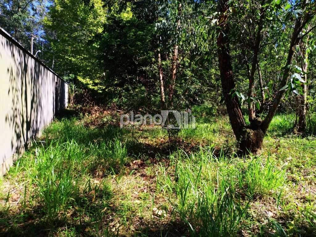 Terreno Comercial para aluguel, com 2.000m², - Santo Antônio - Gravataí / RS por R$ 3.000,00: 