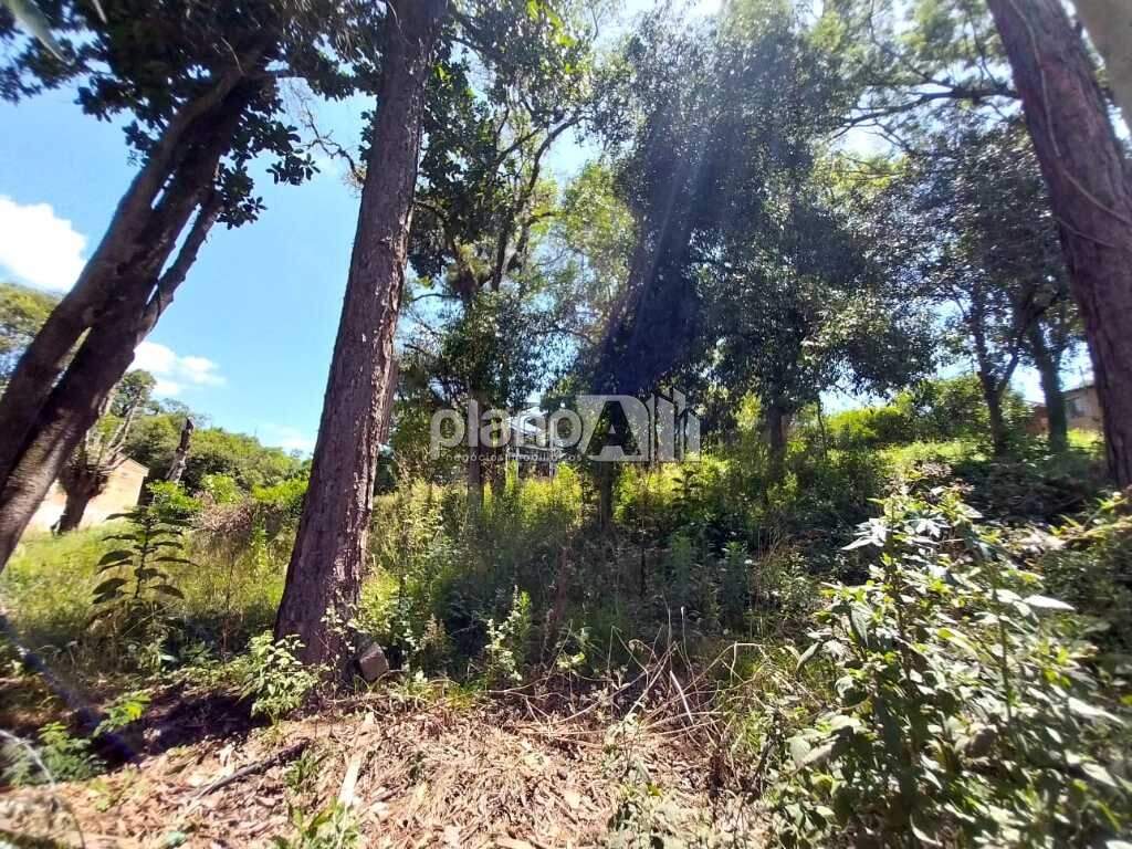 Terreno Comercial para aluguel, com 1.140m², - Salgado Filho - Gravataí / RS por R$ 950,00: 