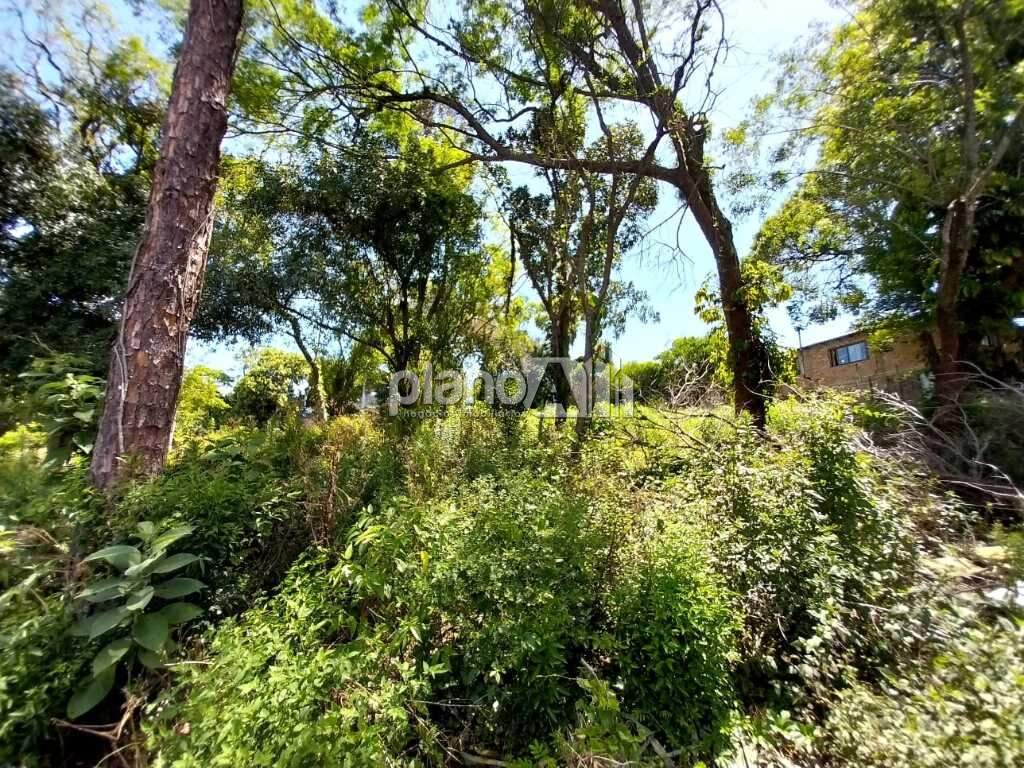 Terreno Comercial para aluguel, com 1.140m², - Salgado Filho - Gravataí / RS por R$ 950,00: 