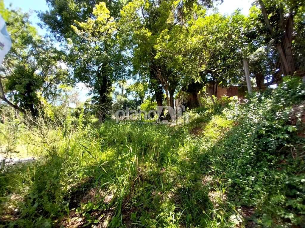 Terreno Comercial para aluguel, com 1.140m², - Salgado Filho - Gravataí / RS por R$ 950,00: 